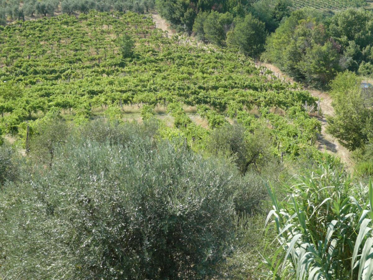 Agriturismo Santa Croce San Gimignano Bagian luar foto